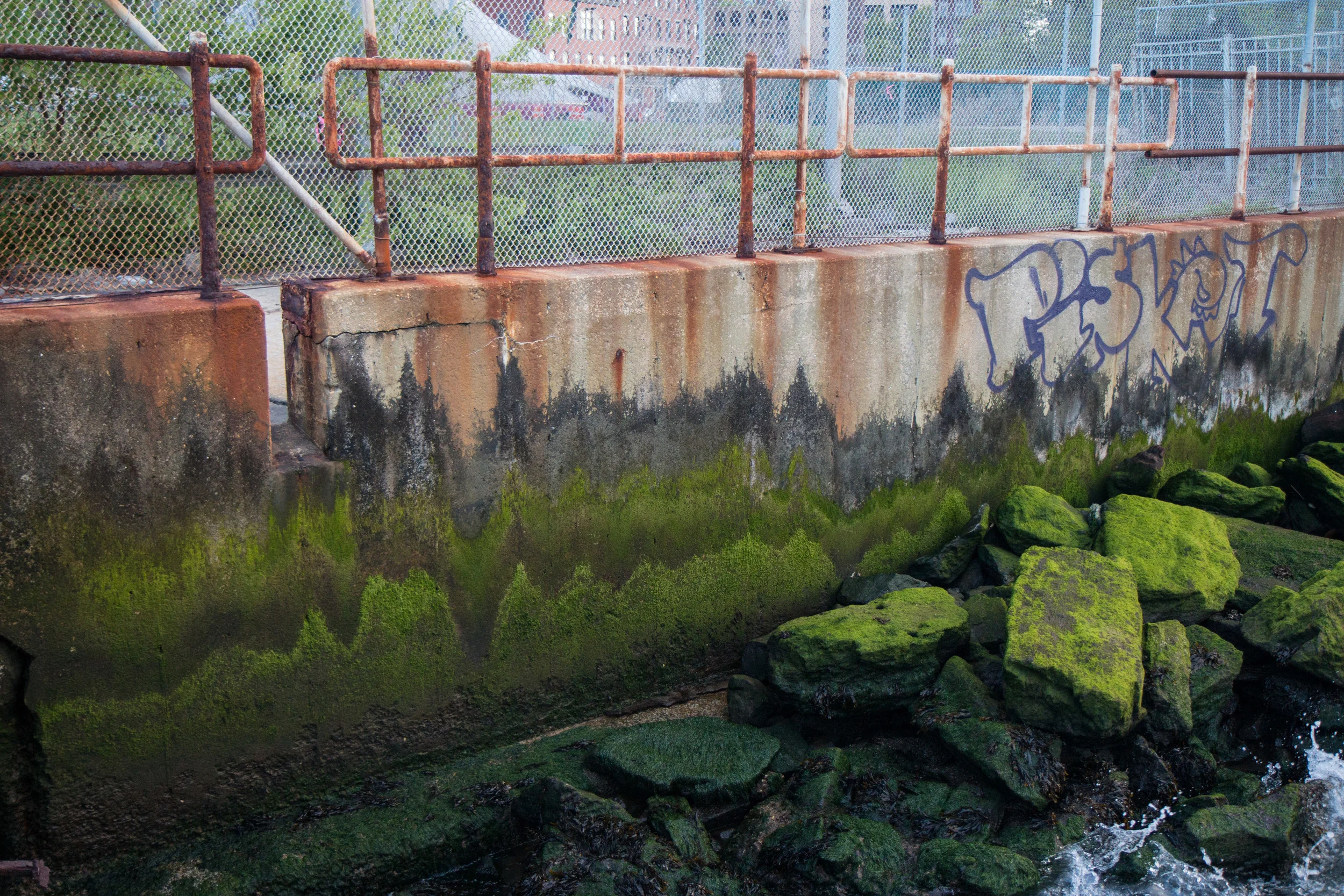 Bk Br Pk shooting & claudio-14.jpg